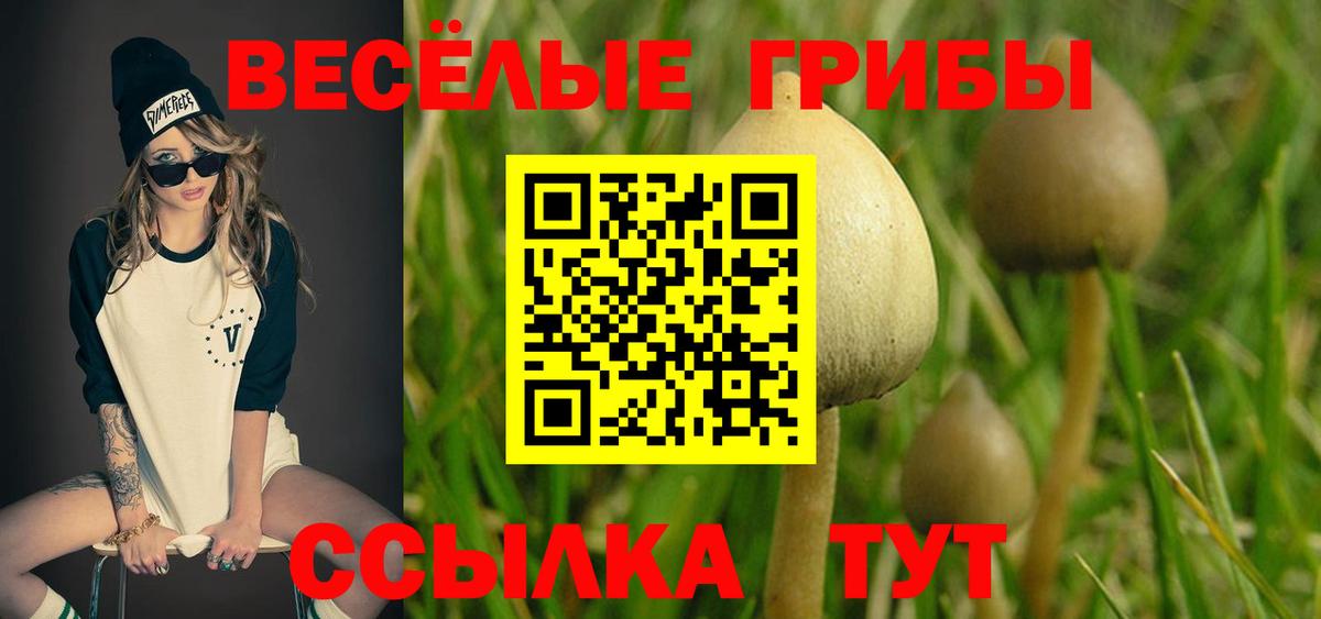 дарнет шоп  Галлюциногенные грибы прущие грибы  Вход с VPN  Учалы 